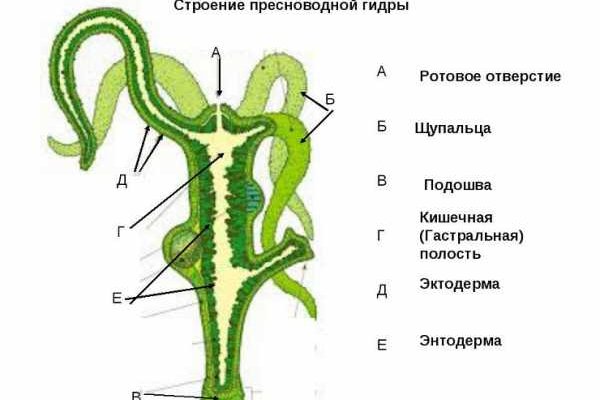 Kraken clear ссылка