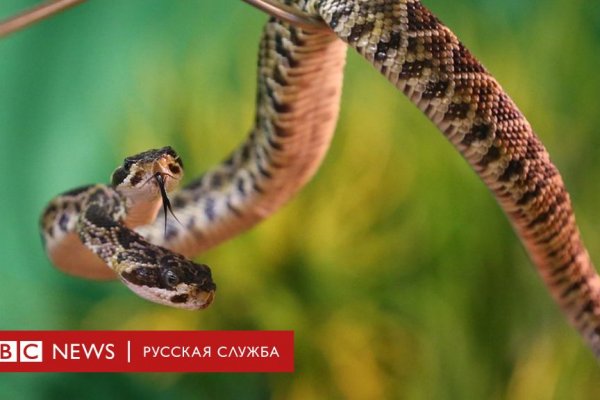 Кракен ссылка онион зеркало